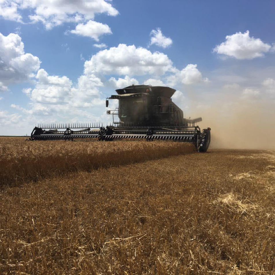 Custom harvesting by Shepherd Harvesting